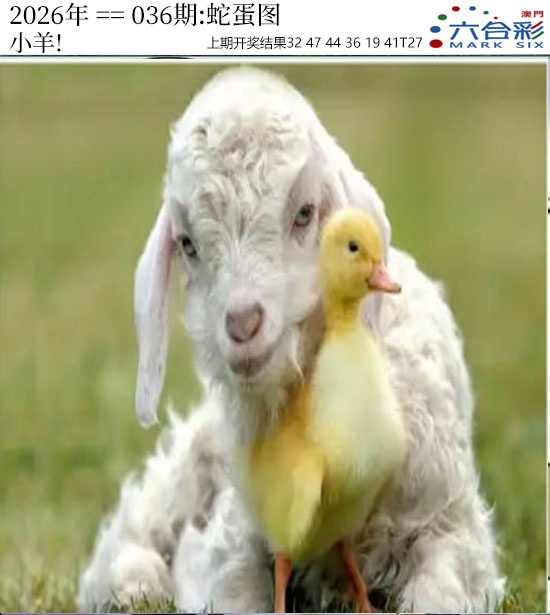 036期正版蛇蛋图[图]