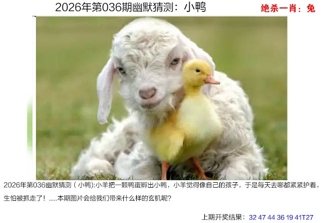 036期幽默猜测[图]