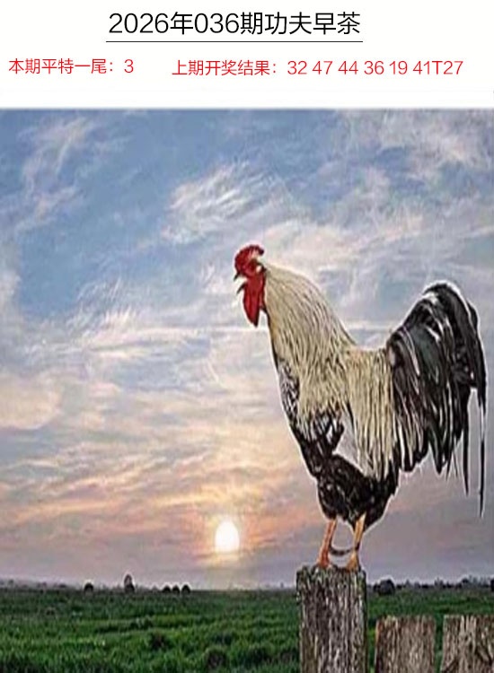 036期功夫早茶[图]