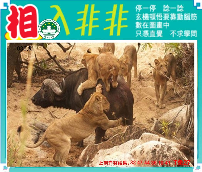 036期相入非非[图]