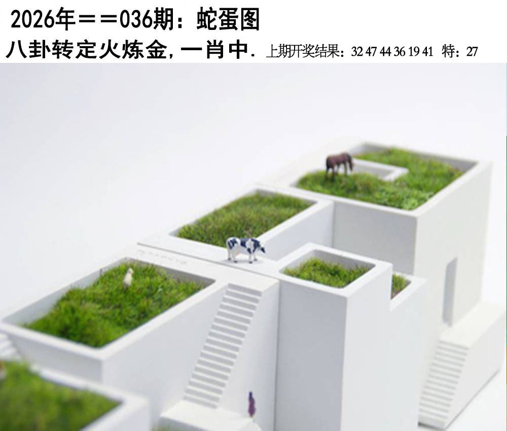 036期另版蛇蛋图[图]