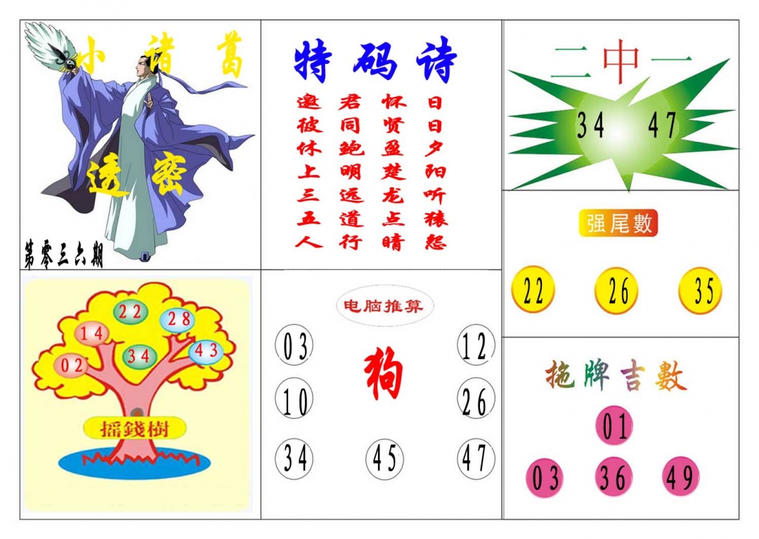 036期小诸葛[图]