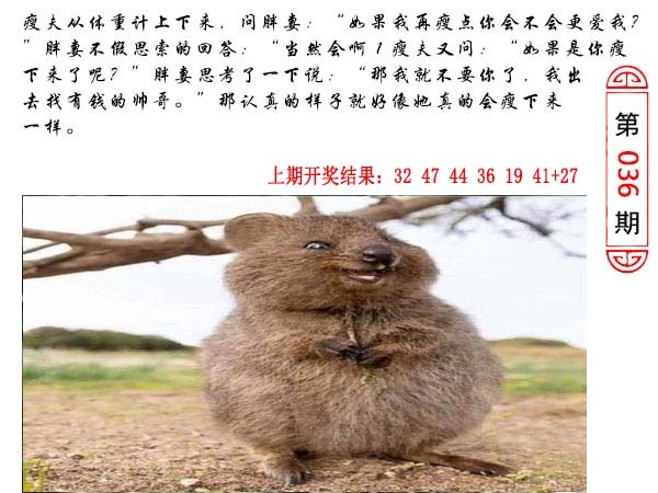 036期澳门生活幽默[图]