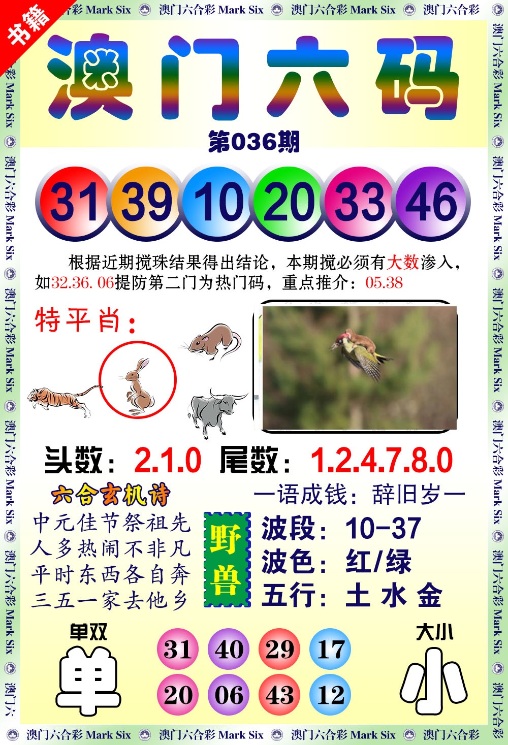 036期澳门望子成龙[图]