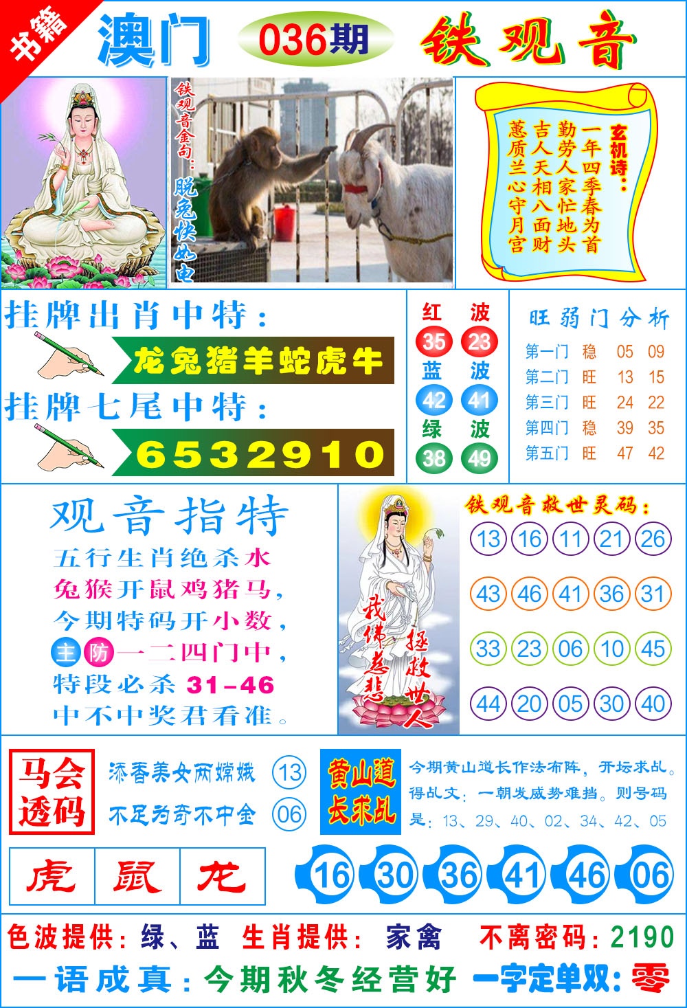 036期澳门铁观音[图]