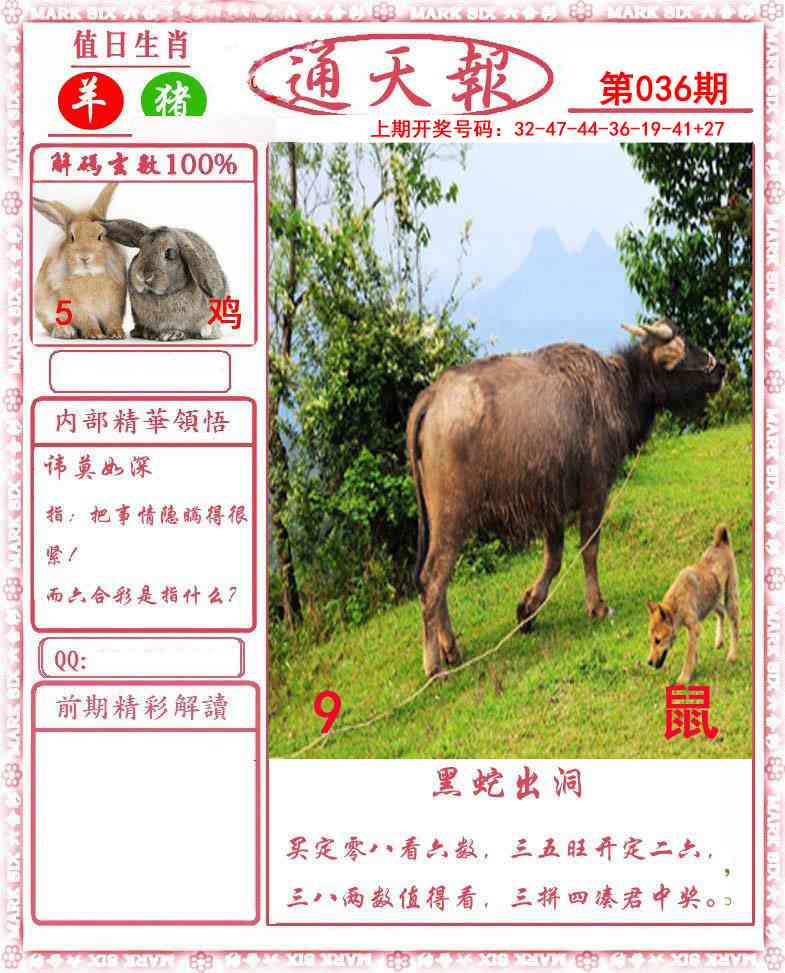 036期正版通天报[图]