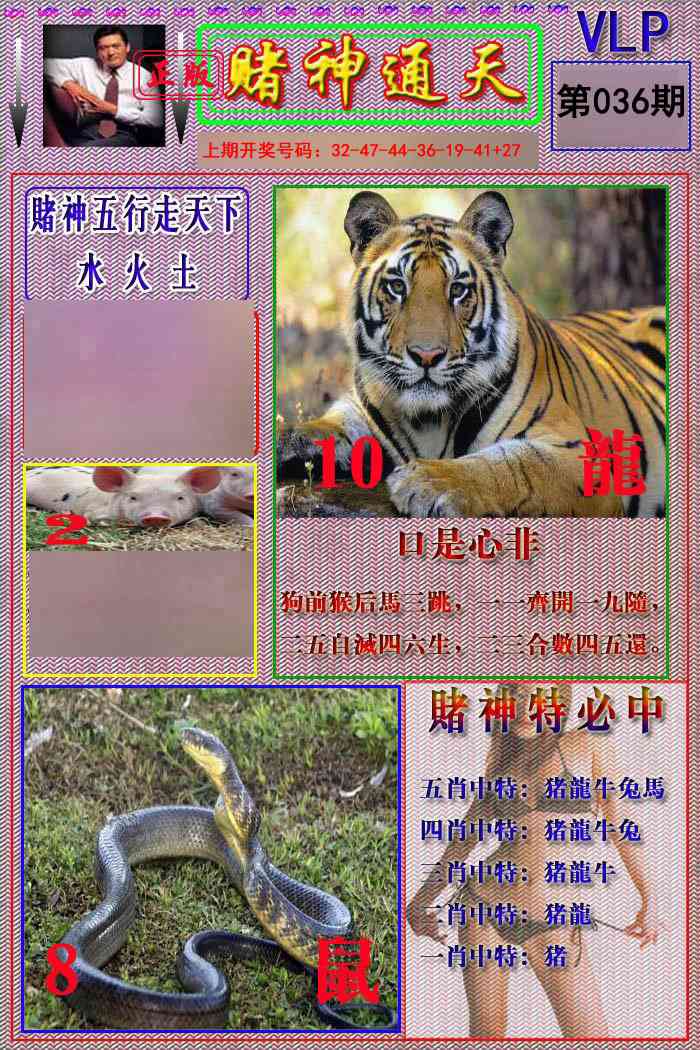 036期赌神通天报[图]