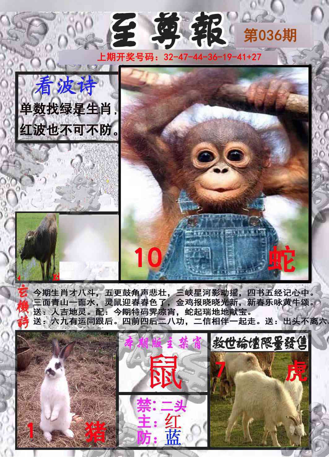 036期至尊报[图]