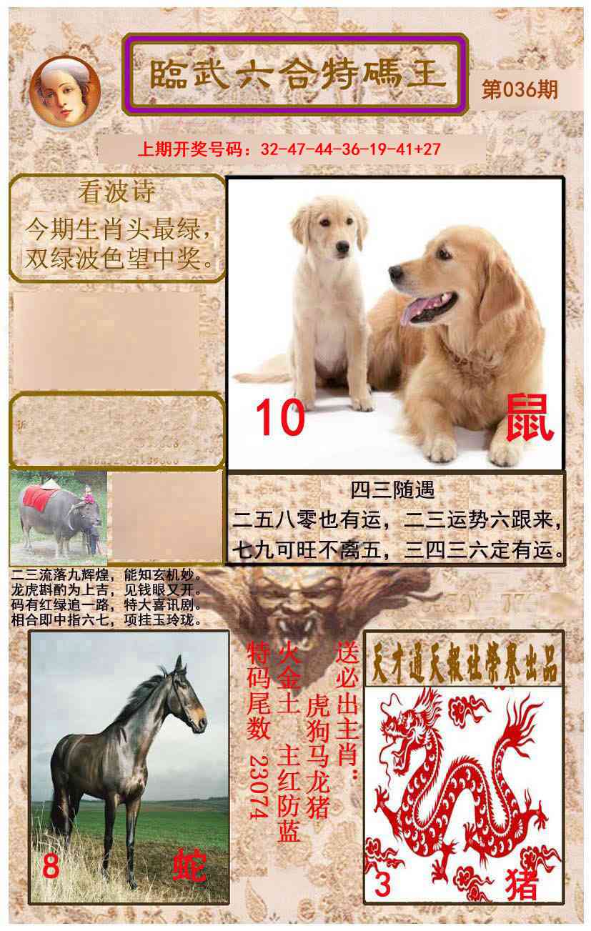 036期临武六合特码王[图]
