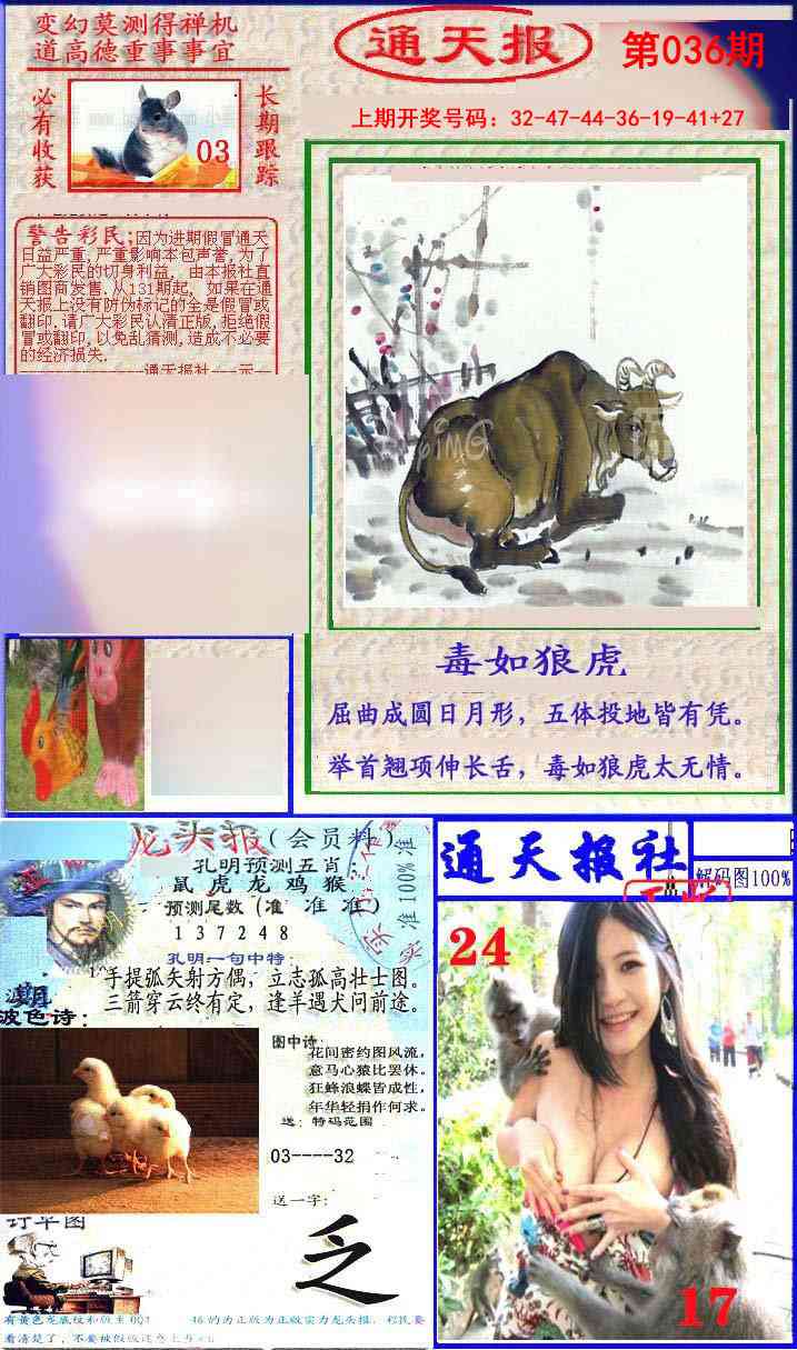036期实力通天报[图]
