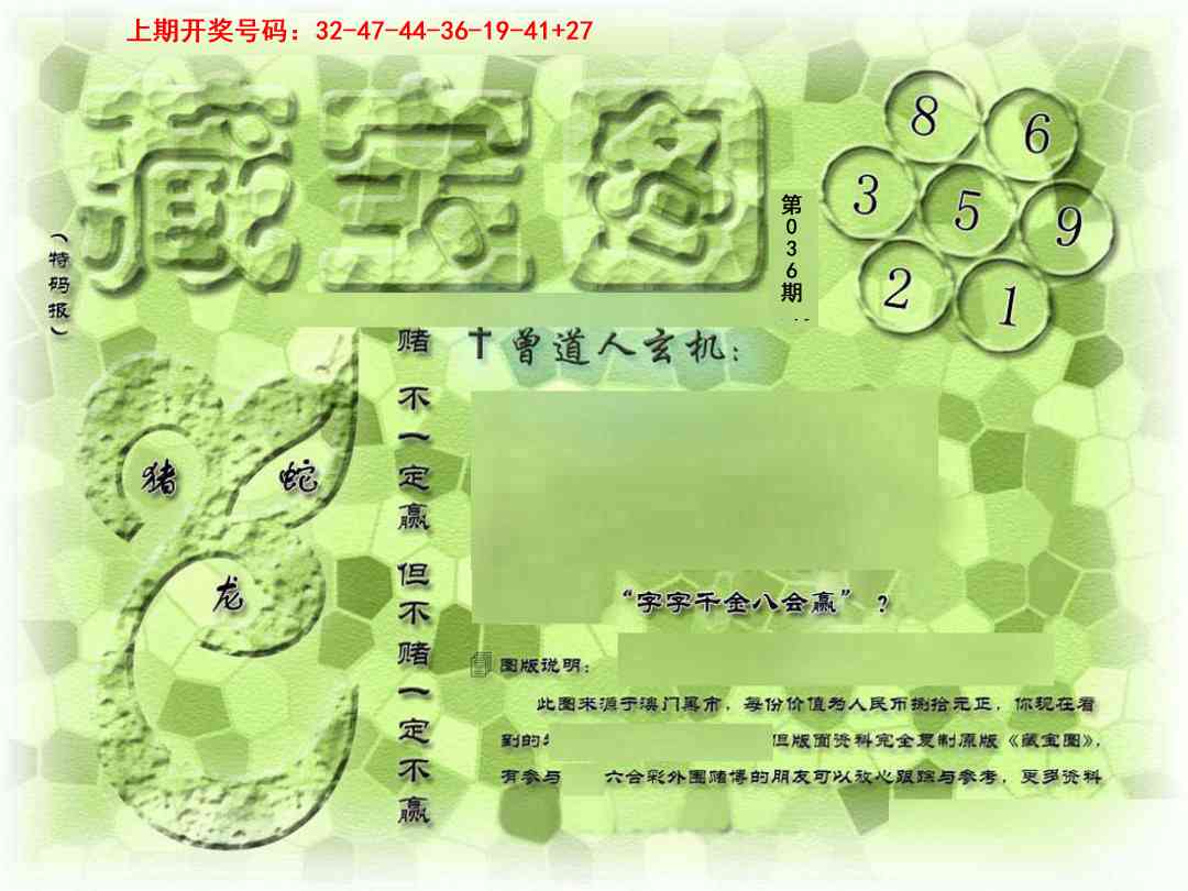 036期假新藏宝图[图]