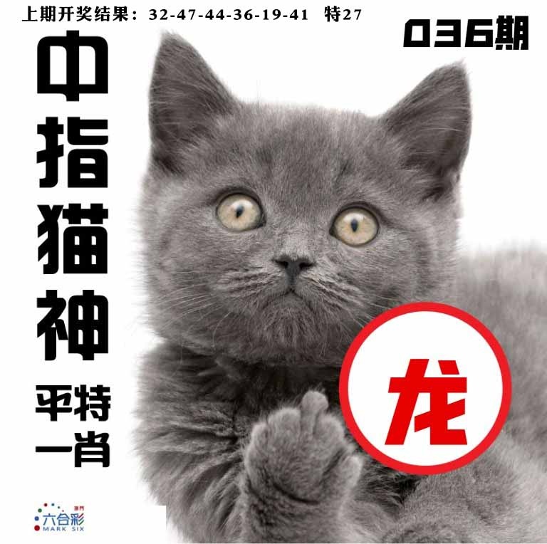 036期中指猫神[图]